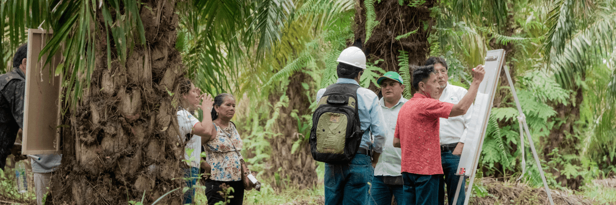 asistencia_tecnica_hero