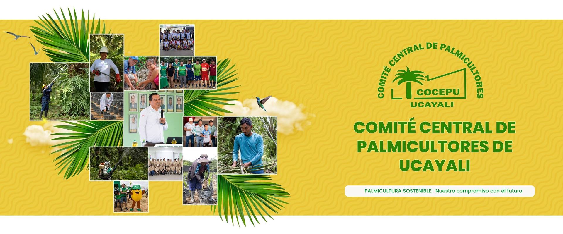 Bienvenidos a COCEPU