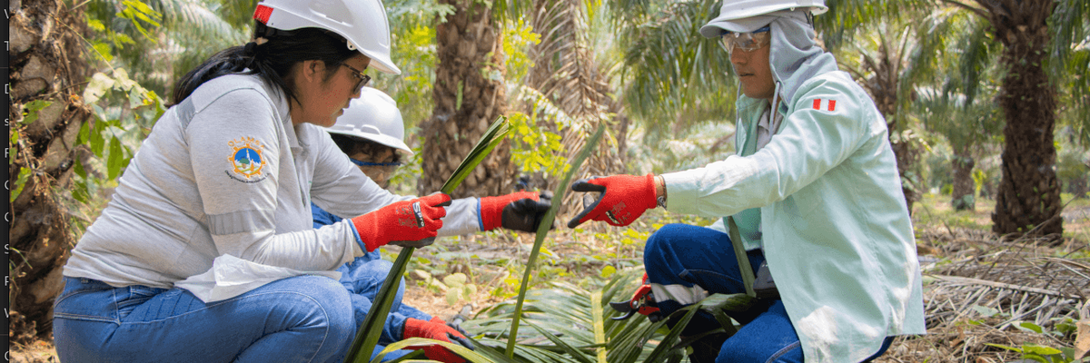 fondo_contingencia_hero